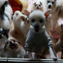 정기사료 이미지