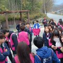 조광섭농장 이미지