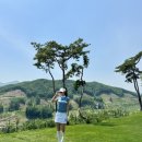 (주)에코비트그린충주 | 올데이cc 양잔디 라운딩 솔직 후기+그늘집 날씨