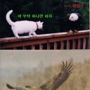 입어줄개 이미지