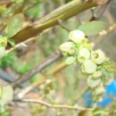 시진농장 이미지