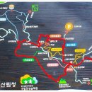 장성삼거리 이미지