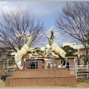 동산사슴목장 이미지