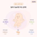 은평구 아이제일 산부인과 | 정밀초음파(25주차)