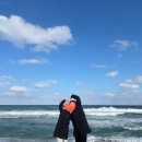 경포대오션호텔 | 강릉 경포대 큐브호텔 오션뷰 가성비 숙소 추천