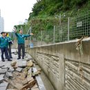 거제-거제-거제-비상-11 이미지