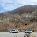 소담정 단양 농가레스토랑 이미지