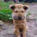 보라멍 | R_수술후기 - 눈밑지방재배치 내돈내산 일주일 후기｜붓기, 멍, 회복기간, 통증 정리