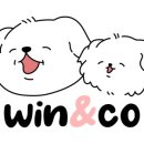 윈앤코 강아지 수제간식점 이미지