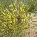 남송농장 이미지