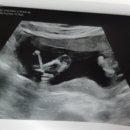 신여성병원 이미지