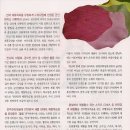 김애순디자인