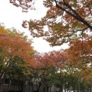 목동동로6길 이미지