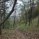 산꼭대기올라가 | [블랙야크 100대 명산] 백두대간을 따라 걷는 산 조령산(주차장, 등산시간, 정상 풍경)