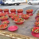 청양축산업 협동조합 이미지