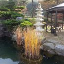 형주병원 Daum카페
