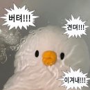 2024년 3월 일상 1