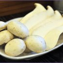 송이버벗 이미지