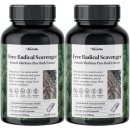 프로빌 | 피크노제놀 강력한 항산화영양제 어스빌 프로안토시아니딘 폴리페놀 내돈내산 강력추천