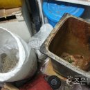 부산지방경찰청 이미지