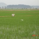 덕산방 이미지