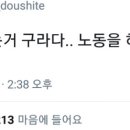 팔공산 글램핑 이미지