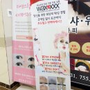 예지미에스테틱