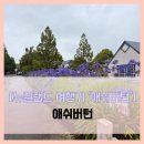 버턴] 애쉬버턴 - #여행 5일차 뉴질랜드 남섬 캔터베리 세 번째로 큰 중심지 애쉬버턴 애쉬버튼 솔직...