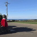 (주)제주협재콘도미니엄 | 12월 겨울 제주여행 3박4일ㅣ3, 4일차 - 미쁜제과 금능 협재 해수욕장 한라수목원 숙성도