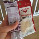 뽀송뽀송강아지미용실 | 세종시 연서면 강아지미용실 [산책하는 강아지] 미용후기