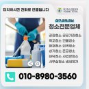 영토탈 이미지
