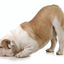 윤슬동물병원 이미지