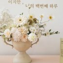 스튜디오일리 이미지