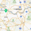 스타일독앤캣 강아지고양이 부천본점 이미지
