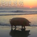 김민주 밥&전 | 시간은 왜 우리를 기다려주지 않을까