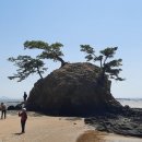 나그네길 이미지