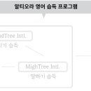 사운드트리인터내셔널 이미지