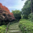 삼산수목학습원 화장실 | 당진명소 가볼만한 곳 추천 5월 삼선산수목원