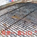 파인트리 캠핑장