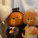 이베리스 | [결혼 준비 일기] 청주 메리다 이베리스홀 계약 후기 (달리아홀 | 마르시아홀 | 가드니아홀 비교)