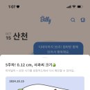 차산천 네이버블로그
