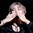 단델리온 이미지