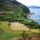 부산국제외국인학교 이미지