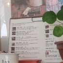 어파스타 이미지