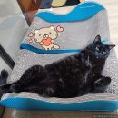 우람동물병원 이미지