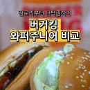 솔뫼초등학교 | 버거킹 와퍼주니어 불고기 와퍼주니어 차이 칼로리 비교 할인행사 내돈내산