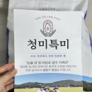 특미집 이미지