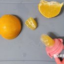 오구귀엽냥 이미지