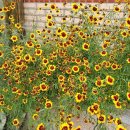 한일장신대학교 일반대학원 이미지