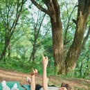 포레스트숲 이미지
